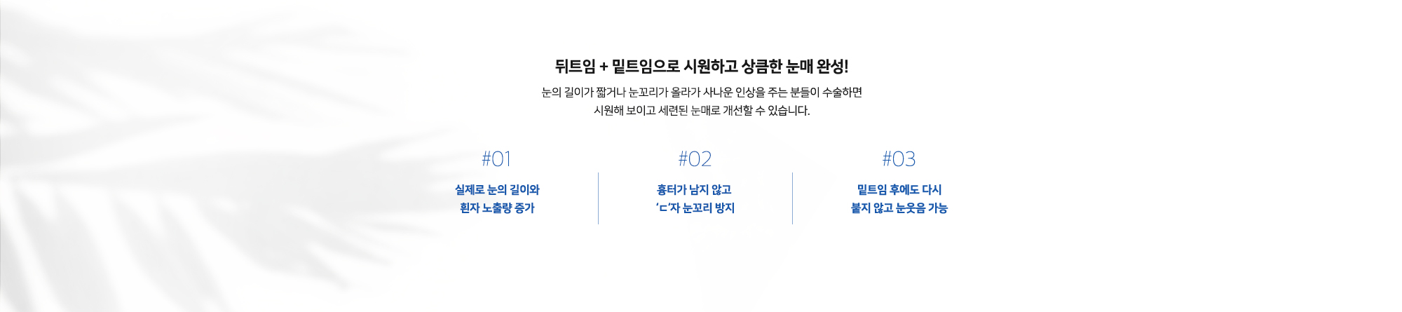 #01 실제로 눈의 길이와 흰자 노출량 증가 #02 흉터가 남지 않고 'ㄷ'자 눈꼬리 방지 #03 밑트임 후에도 다시 붙지 않고 눈웃음 가능