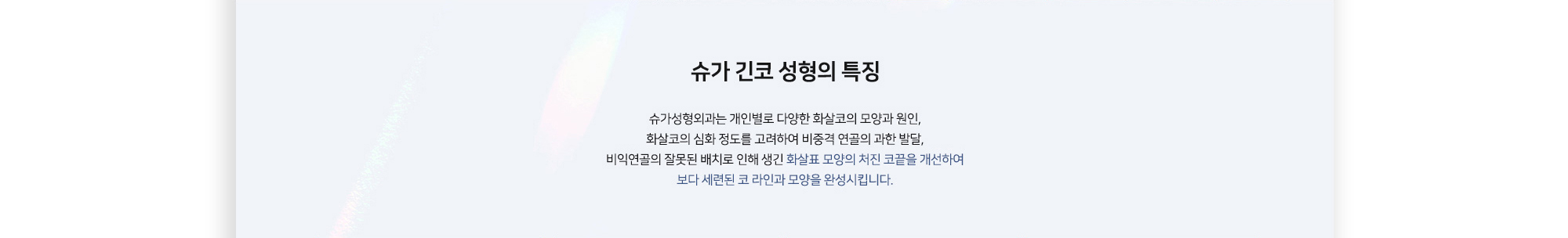 슈가 긴코 성형의 특징