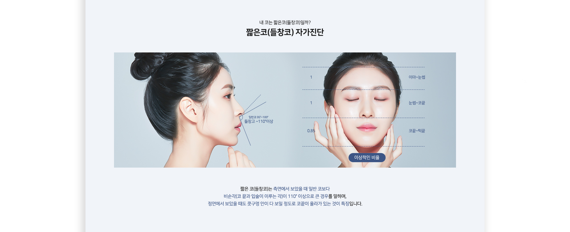 짧은코 자가진단