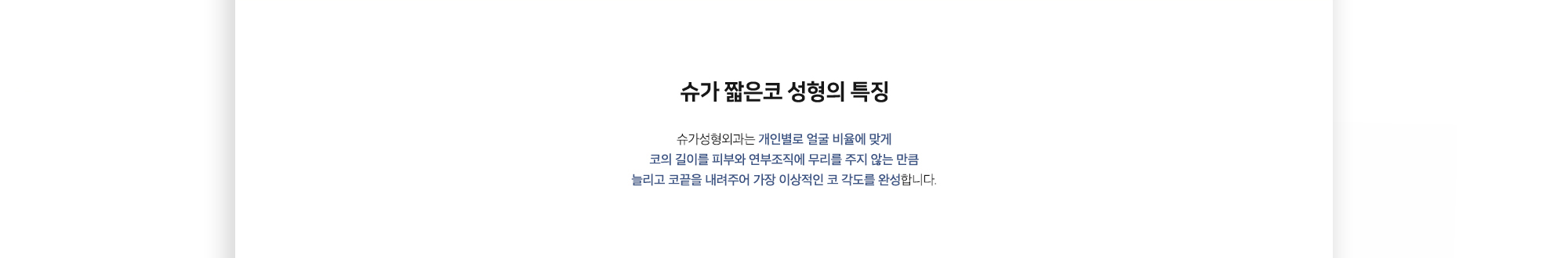 슈가 짧은코 성형의 특징